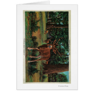 Buck Deer at Yosemite National Park