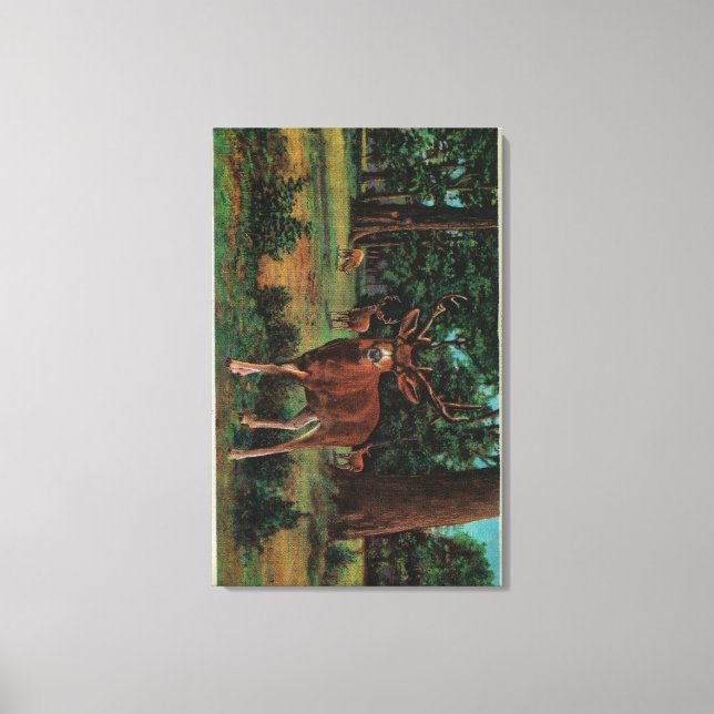 Buck Deer at Yosemite National Park Canvas Print (Front)