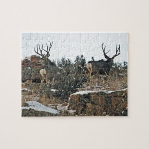 Buck deer first snow jigsaw puzzle