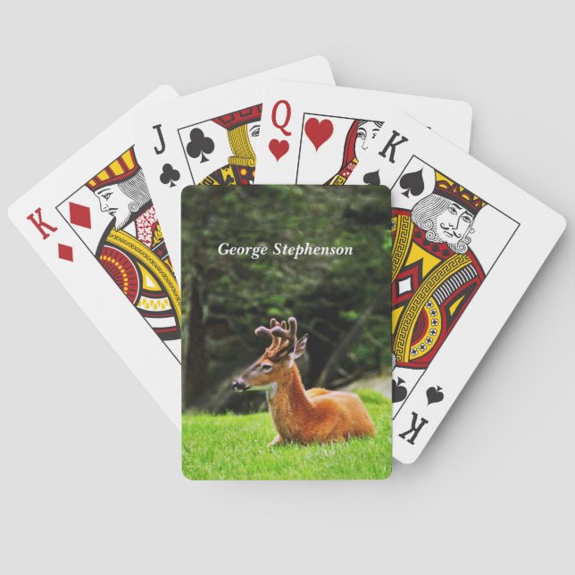 Buck Deer in wooded pasture Personalize Playing Cards (Back)