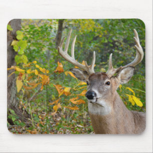 Buck Deer in Woods Mouse Pad