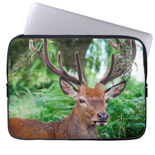 Buck Deer Laptop Sleeve