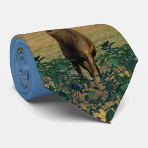Buck Deer Pasture Tie