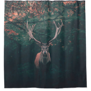 Buck Deer Wild Animal