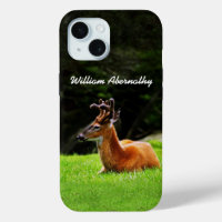 Buck Deer with Velvet antlers forest background 