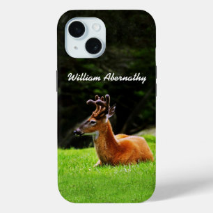 Buck Deer with Velvet antlers forest background  iPhone 15 Case