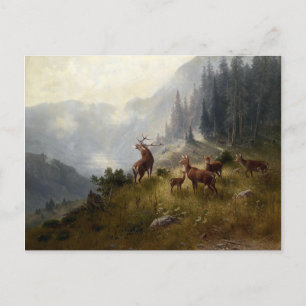 Buck & Doe Deer Herd In Forest Landscape Art Postcard