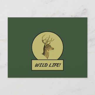 Buck Head Dark Green Postcard