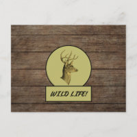 Buck Head Dark Wood Postcard