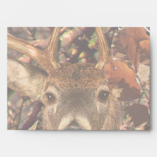 Buck in Camouflage White Tail Deer Envelope