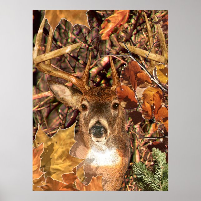Buck in Fall Camo White Tail Deer Poster (Front)