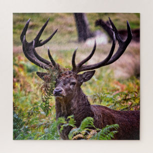 Buck in Richmond Park - 20x20 - 676 pieces Jigsaw Puzzle