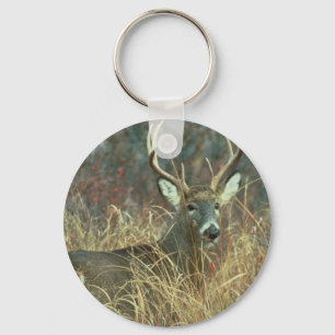 Buck in the Grass Keychain