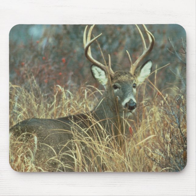 Buck in the Grass Mouse Pad (Front)