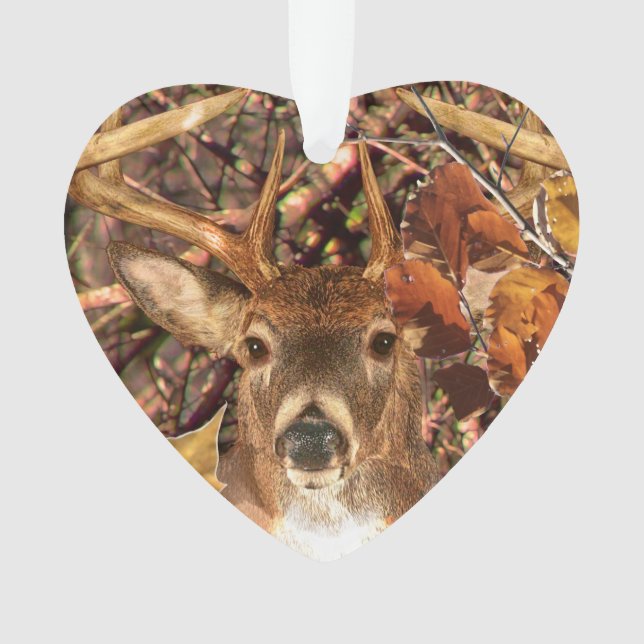 Buck la saison d'automne White Tail Deer (devant)