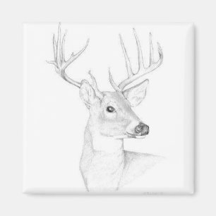 Buck Magnet