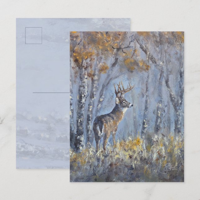 Buck Meadow Postcard (Front/Back)