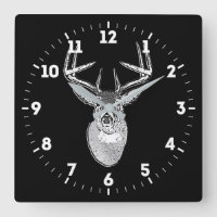 Buck trophy on Black White Tail Deer on a