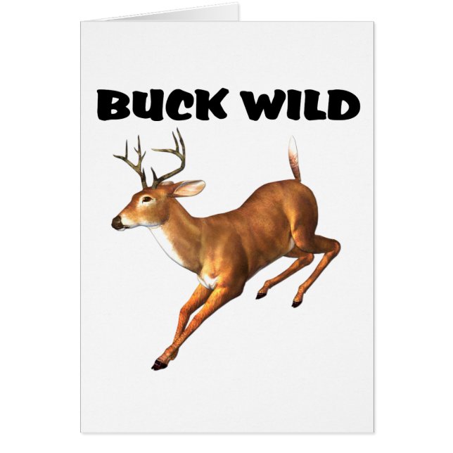 Buck Wild (Devant)