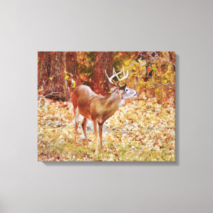 Buck Wild Deer in Woods Canvas Art Print