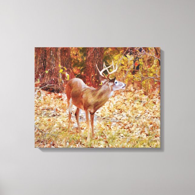 Buck Wild Deer in Woods Canvas Art Print (Front)