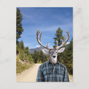 Buck with Antlers Wearing Blue Plaid Shirt Postcard