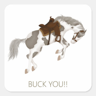 Buck You! Funny pinto Horse Square Sticker