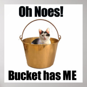 Bucket Cat Poster