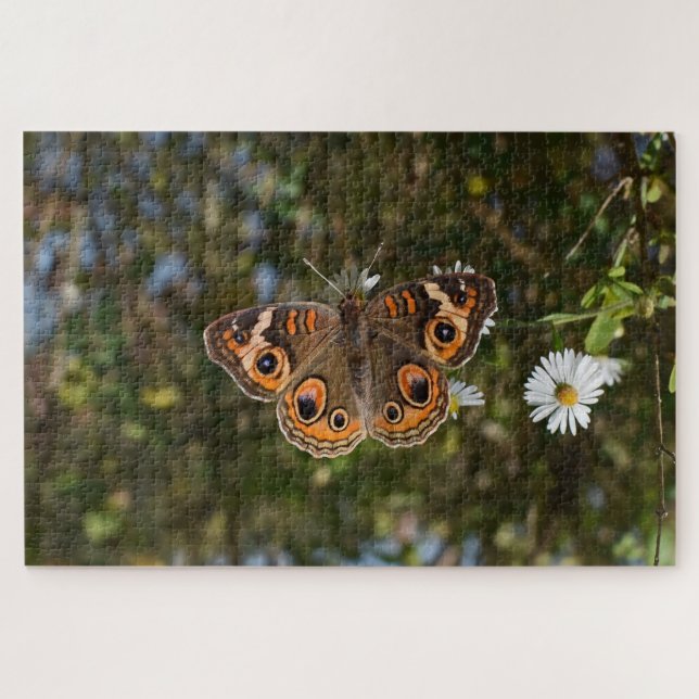 Buckeye Butterfly. Jigsaw Puzzle (Horizontal)