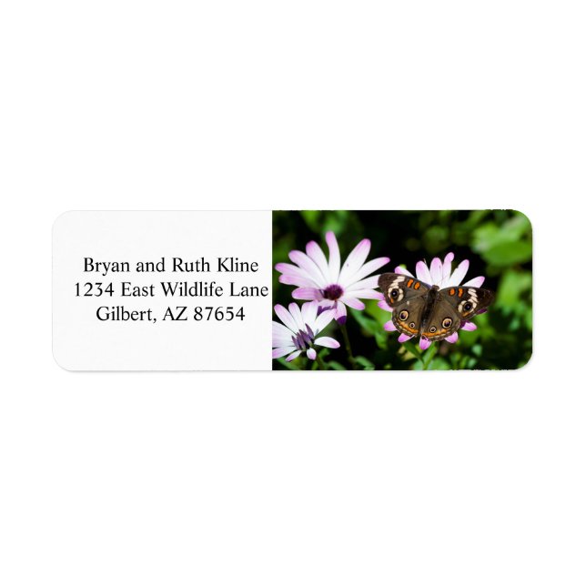 Buckeye Butterfly on Purple (Front)