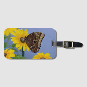 Buckeye Butterfly on Yellow Daisy Luggage Tag