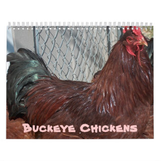 Buckeye Chickens 2013 Calendar