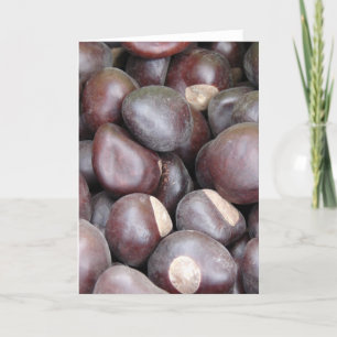 Buckeye Nuts Macro Photo Card