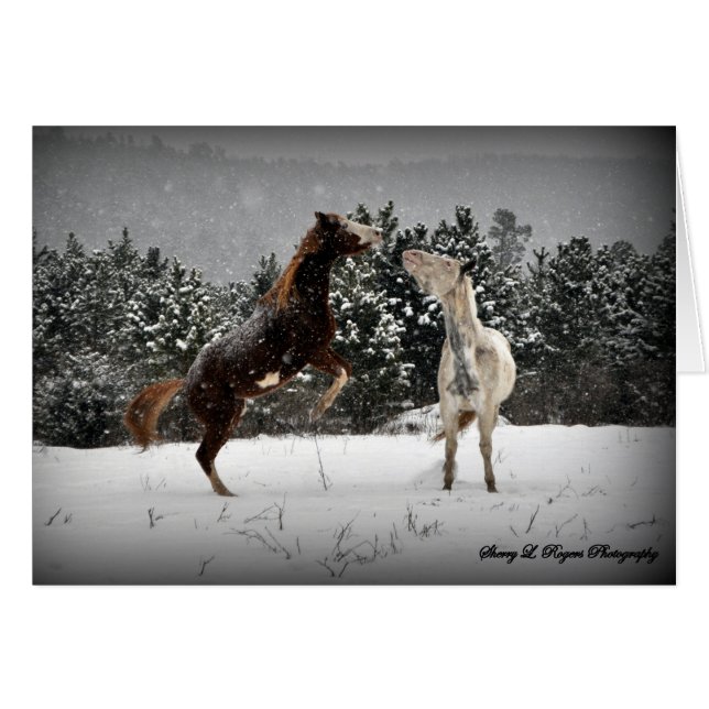 ~Buckie unleashed~ (Front Horizontal)