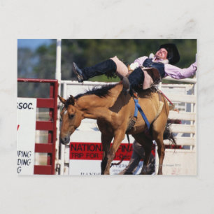 BUCKING BRONCO AT RODEO 3 POSTCARD