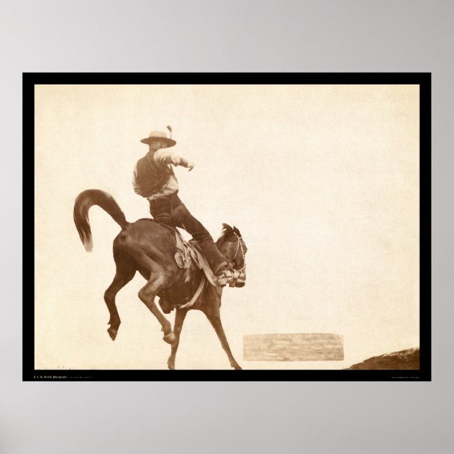 Bucking Bronco SD 1888 Poster (Front)