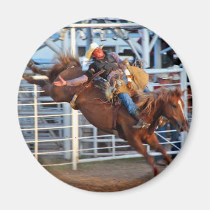 Bucking Magnet