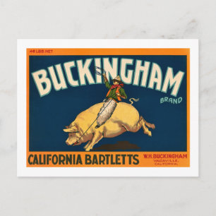 Buckingham Bartlett Apples - Vintage Crate Label Postcard