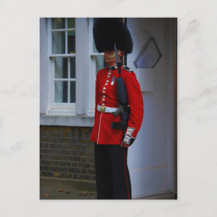 Buckingham Palace Guard Postcard