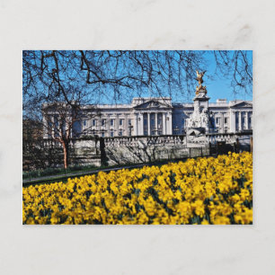 Buckingham Palace, London flowers Postcard