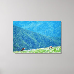 Bucks by the Mountains Canvas Print
