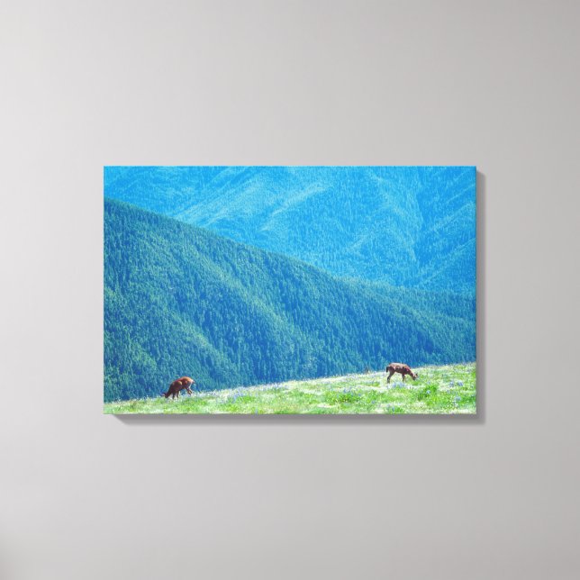 Bucks by the Mountains Canvas Print (Front)