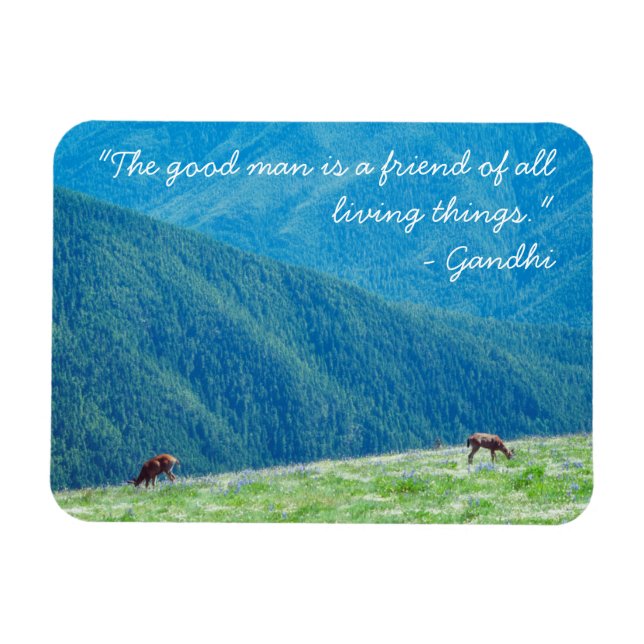 Bucks by the Mountains Magnet (Horizontal)