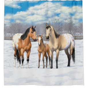 Buckskin Appaloosa Horses In Winter Pasture