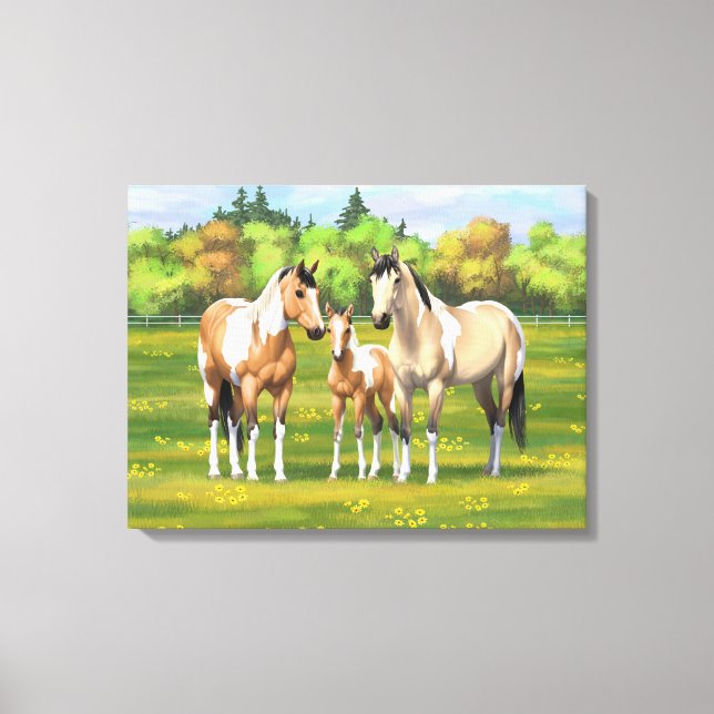 Buckskin Dun Pinto Paint Horses In Summer Pasture Canvas Print (Front)