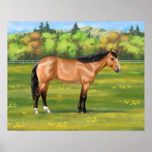 Buckskin Dun Quarter Horse Poster