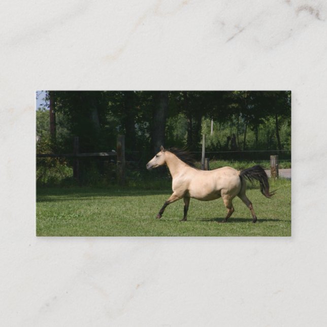 Buckskin horse business card (Front)