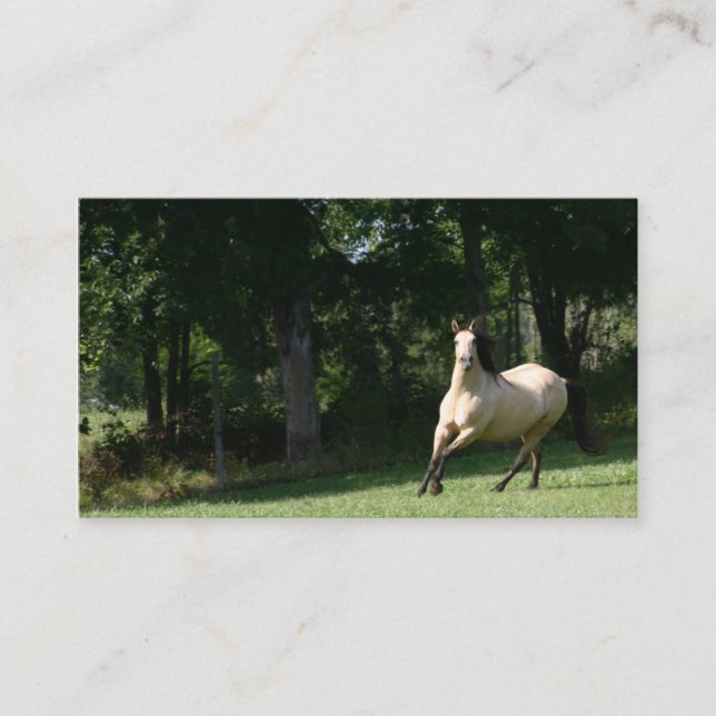 buckskin horse business card 2 (Front)