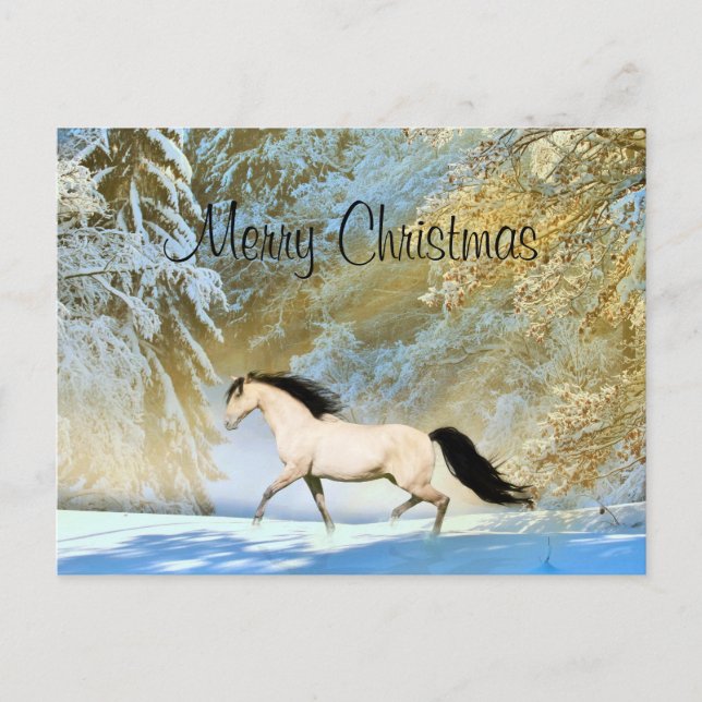 Buckskin horse Christmas Holiday Postcard (Front)