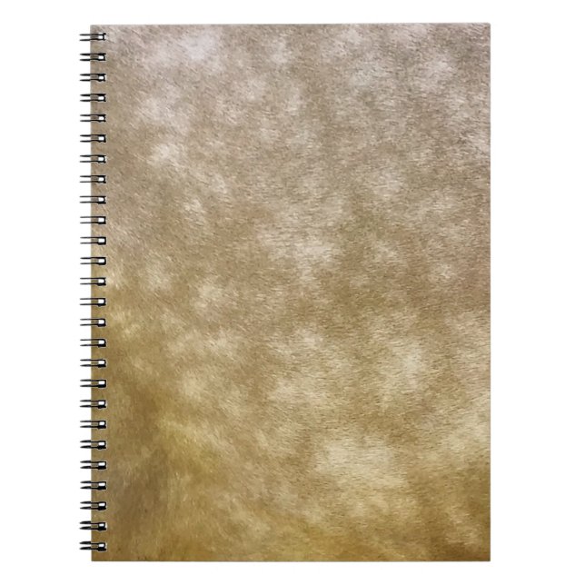Buckskin Horse Dapples Notebook (Front)